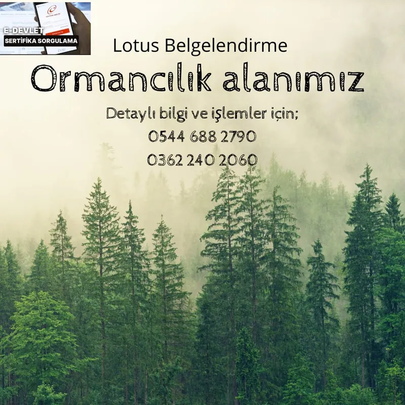 Lotus Belgelendirme sınav faaliyetleri - fotoğraf 36