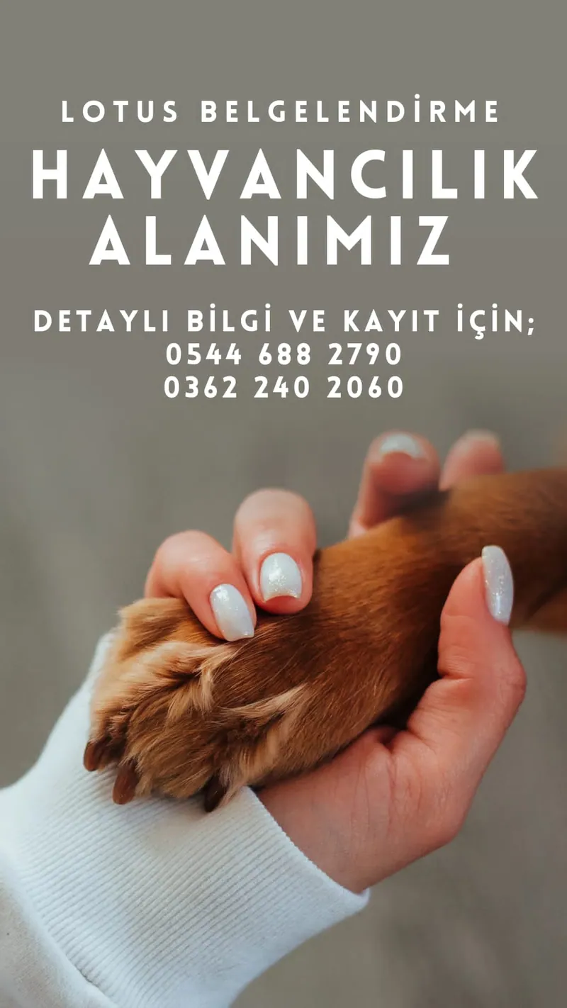 Lotus Belgelendirme sınav faaliyetleri - fotoğraf 38